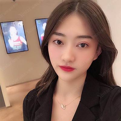 坦克雄心bt版下载